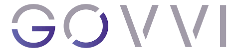 govvi logo